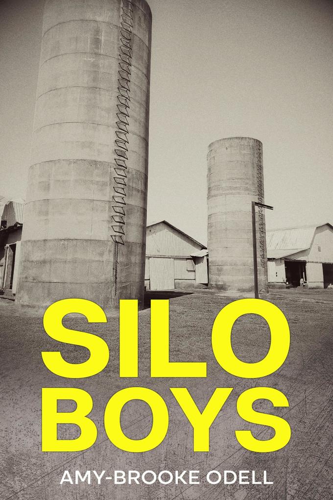 Produktbild: Silo Boys | Amy Brooke Odell