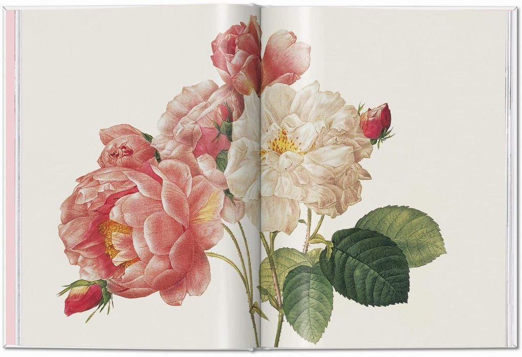 Weitere Ansicht: Redouté. Roses | H. Walter Lack