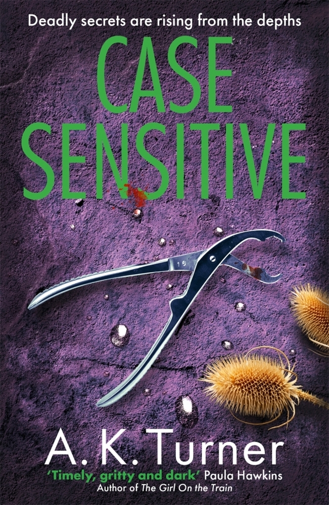 Produktbild: Case Sensitive | A. K. Turner