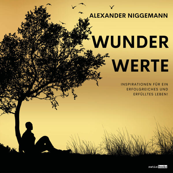 Produktbild: WunderWerte | Alexander Niggemann