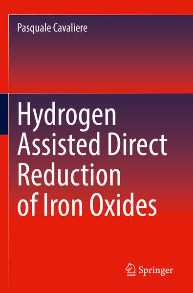Produktbild: Hydrogen Assisted Direct Reduction of Iron Oxides | Pasquale Cavaliere
