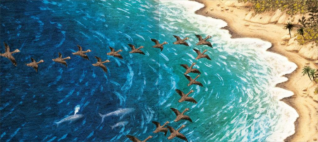 Weitere Ansicht: Was macht die kleine Gans im Herbst? | Elli Woollard