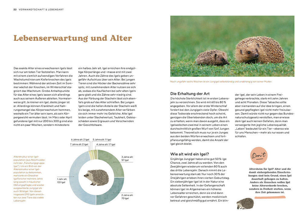 Weitere Ansicht: Igel im Garten | Monika Neumeier