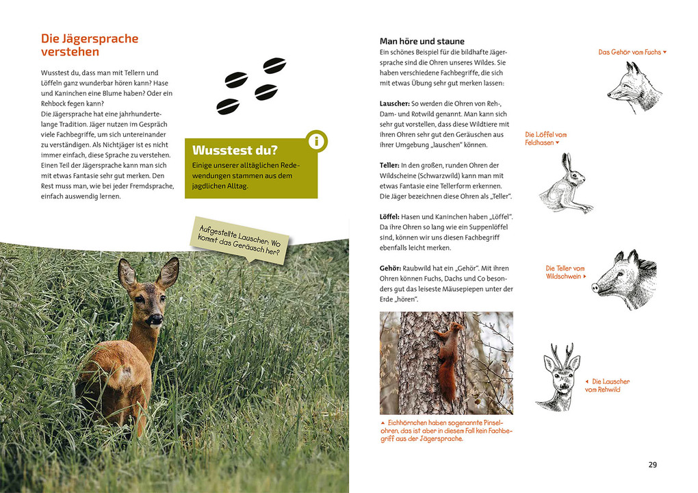 Weitere Ansicht: Das Jagdbuch für Kids | Inga Haase, Katharina Giffei