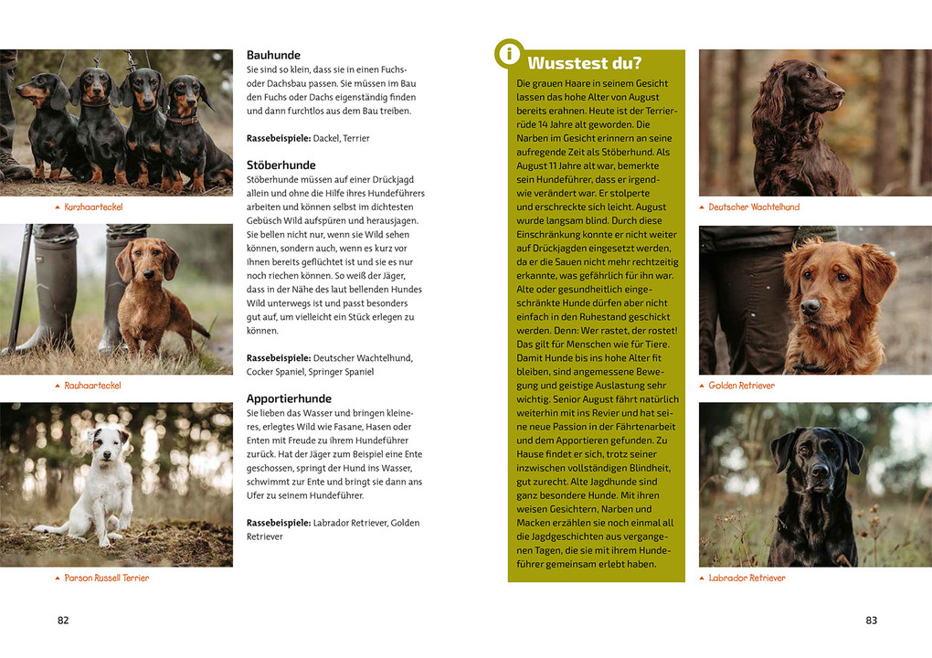 Weitere Ansicht: Das Jagdbuch für Kids | Inga Haase, Katharina Giffei