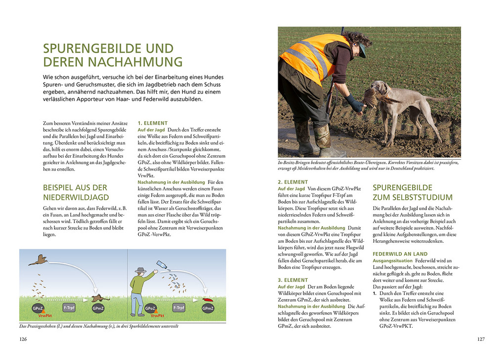 Weitere Ansicht: Die Ausbildung des Jagdhundes | Anton Fichtlmeier, Julia Numßen