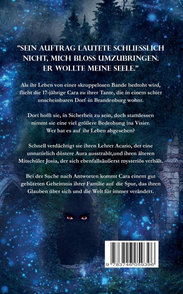 Weitere Ansicht: Seelen des Lichts | Sandra S. Wall