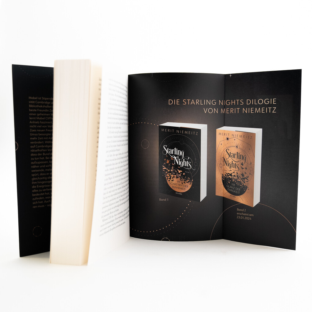 Weitere Ansicht: Starling Nights 1 | Merit Niemeitz