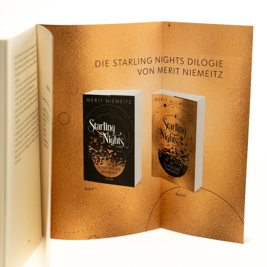 Weitere Ansicht: Starling Nights 2 | Merit Niemeitz