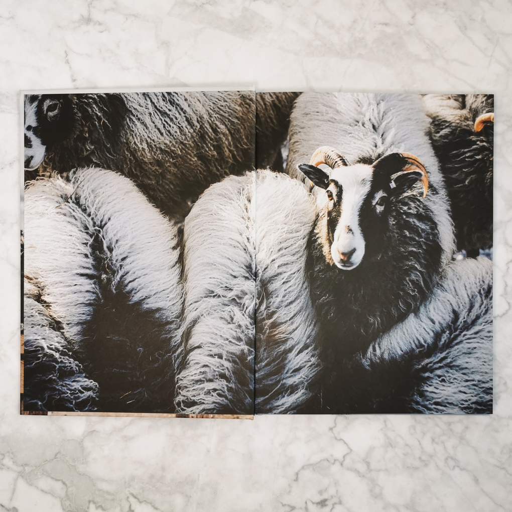 Weitere Ansicht: Küstenmaschen | Erika Åberg