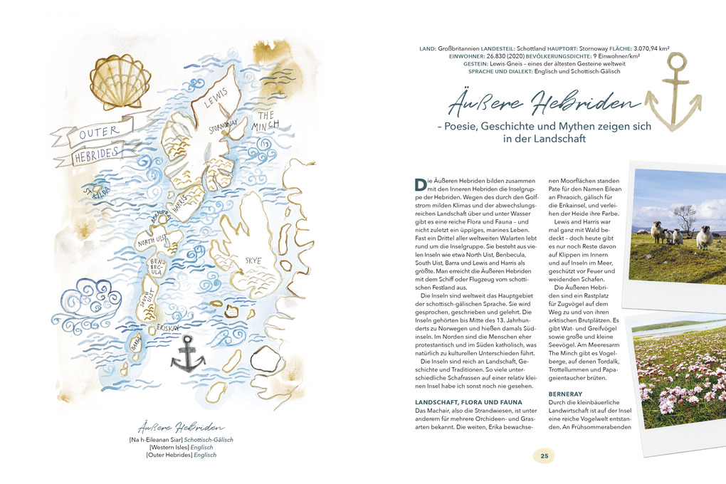 Weitere Ansicht: Küstenmaschen | Erika Åberg