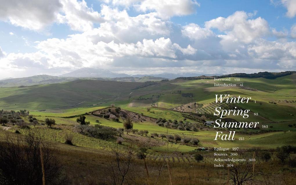 Weitere Ansicht: Coming Home to Sicily | Fabrizia Lanza, Kate Winslow