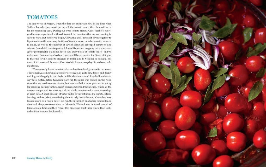 Weitere Ansicht: Coming Home to Sicily | Fabrizia Lanza, Kate Winslow
