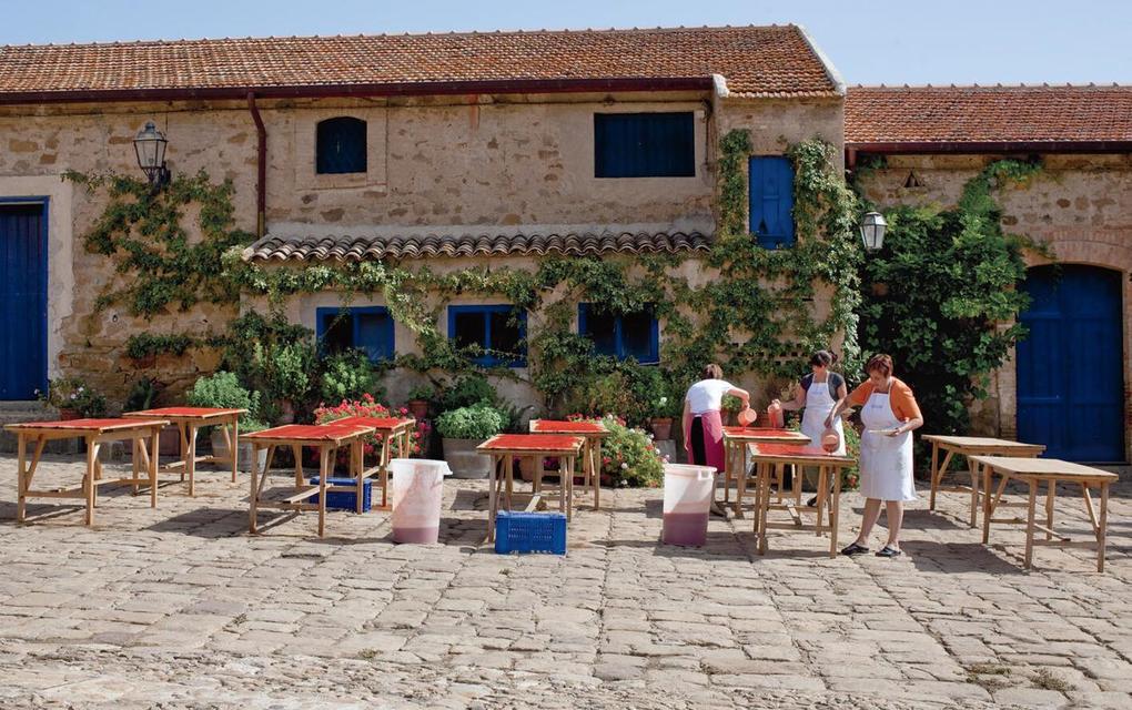 Weitere Ansicht: Coming Home to Sicily | Fabrizia Lanza, Kate Winslow