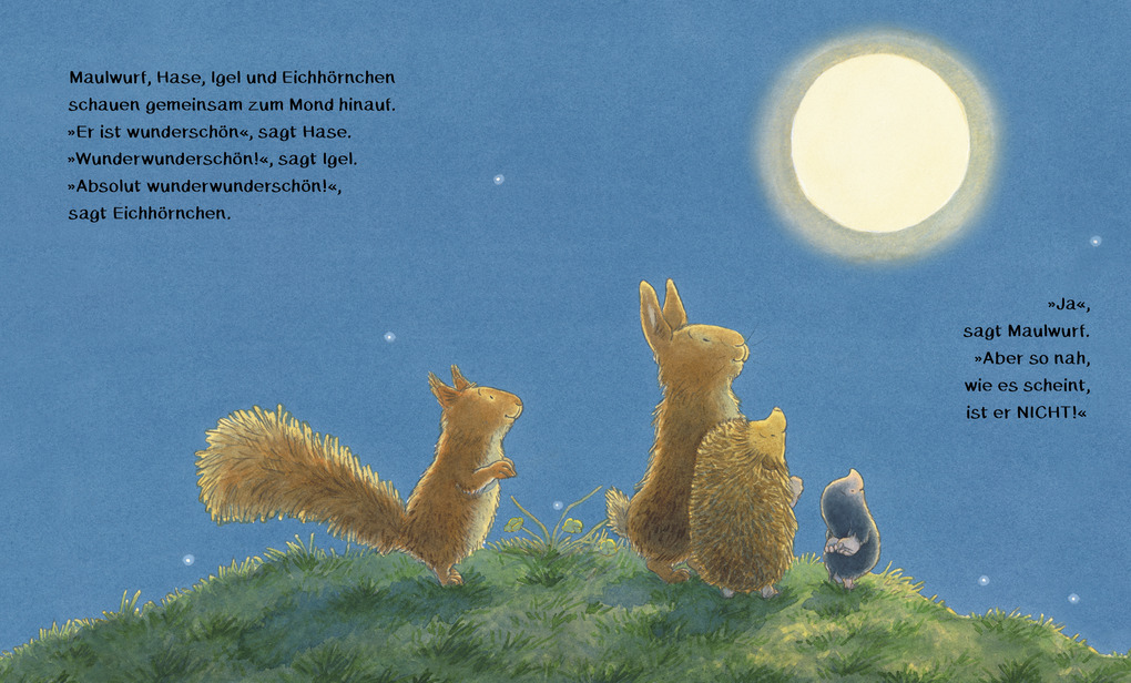 Weitere Ansicht: Was leuchtet in der Nacht? | Jonathan Emmett