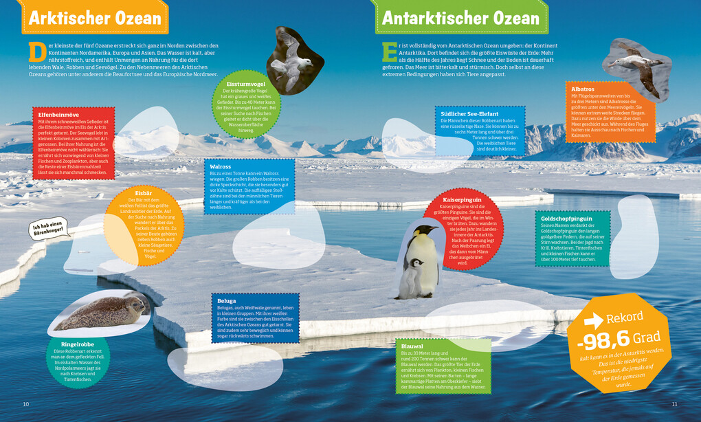 Weitere Ansicht: WAS IST WAS Stickerheft Ozeane