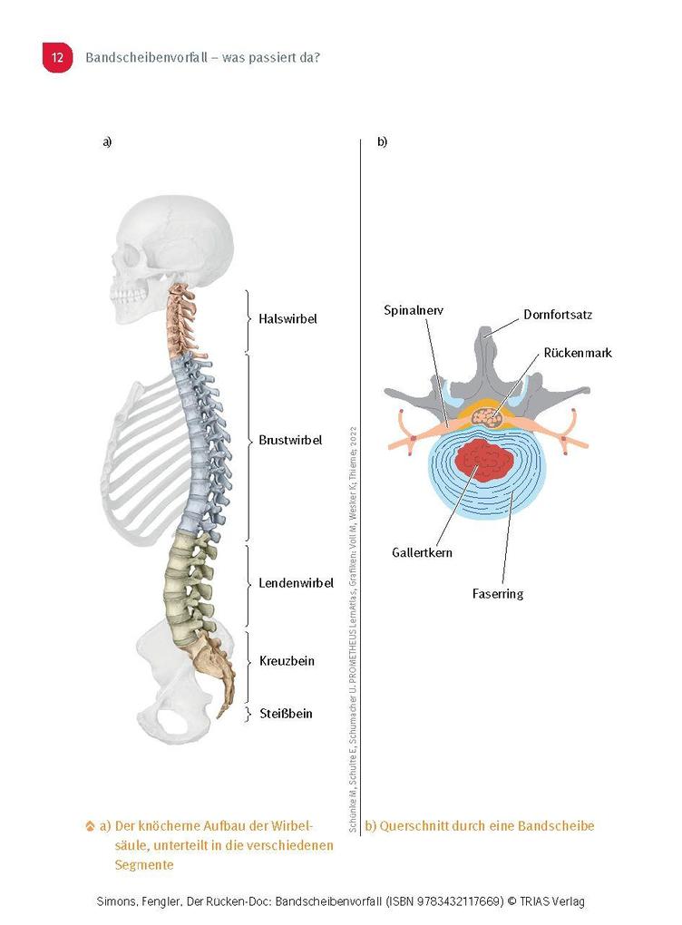 Weitere Ansicht: Der Rücken-Doc: Bandscheibenvorfall | Patrick Simons, Arndt Fengler