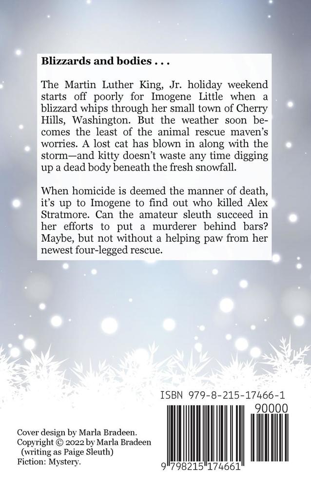 Weitere Ansicht: Cherry Hills Case Files | Paige Sleuth