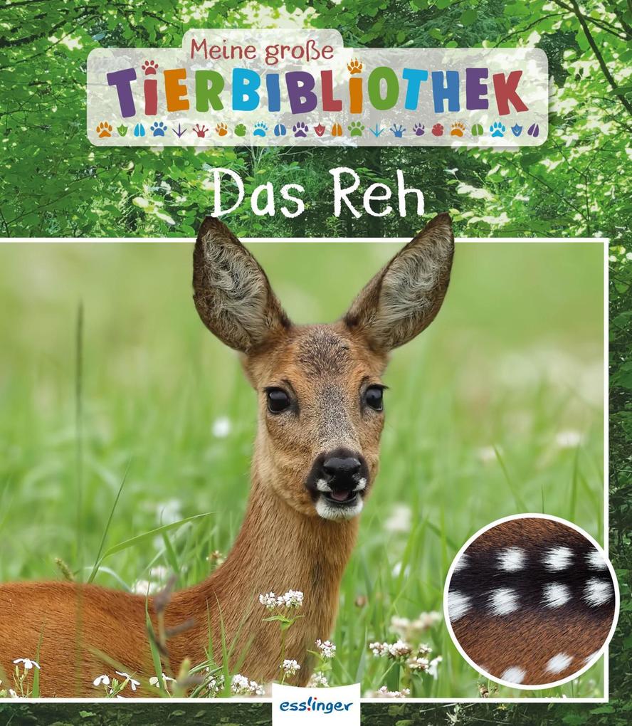 Produktbild: Meine große Tierbibliothek: Das Reh | Jens Poschadel
