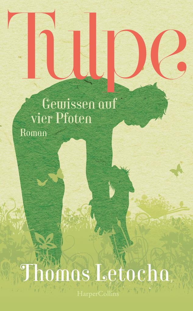 Produktbild: Tulpe | Thomas Letocha