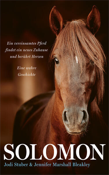Produktbild: Solomon | Jennifer Marshall Bleakley, Jodi Stuber