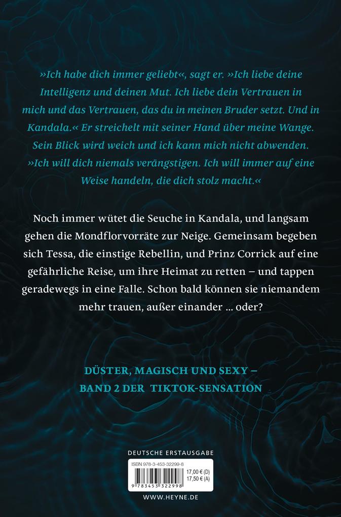 Weitere Ansicht: Hüte den Morgen | Brigid Kemmerer