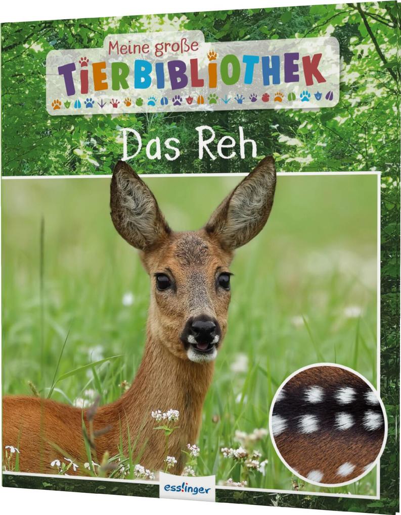 Weitere Ansicht: Meine große Tierbibliothek: Das Reh | Jens Poschadel