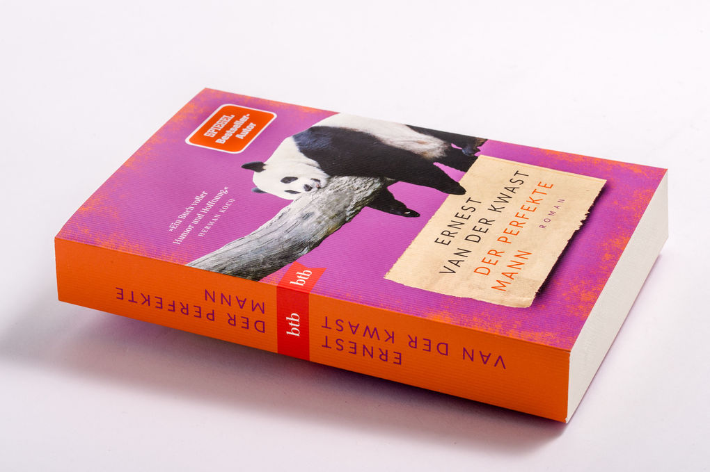 Weitere Ansicht: Der perfekte Mann | Ernest van der Kwast