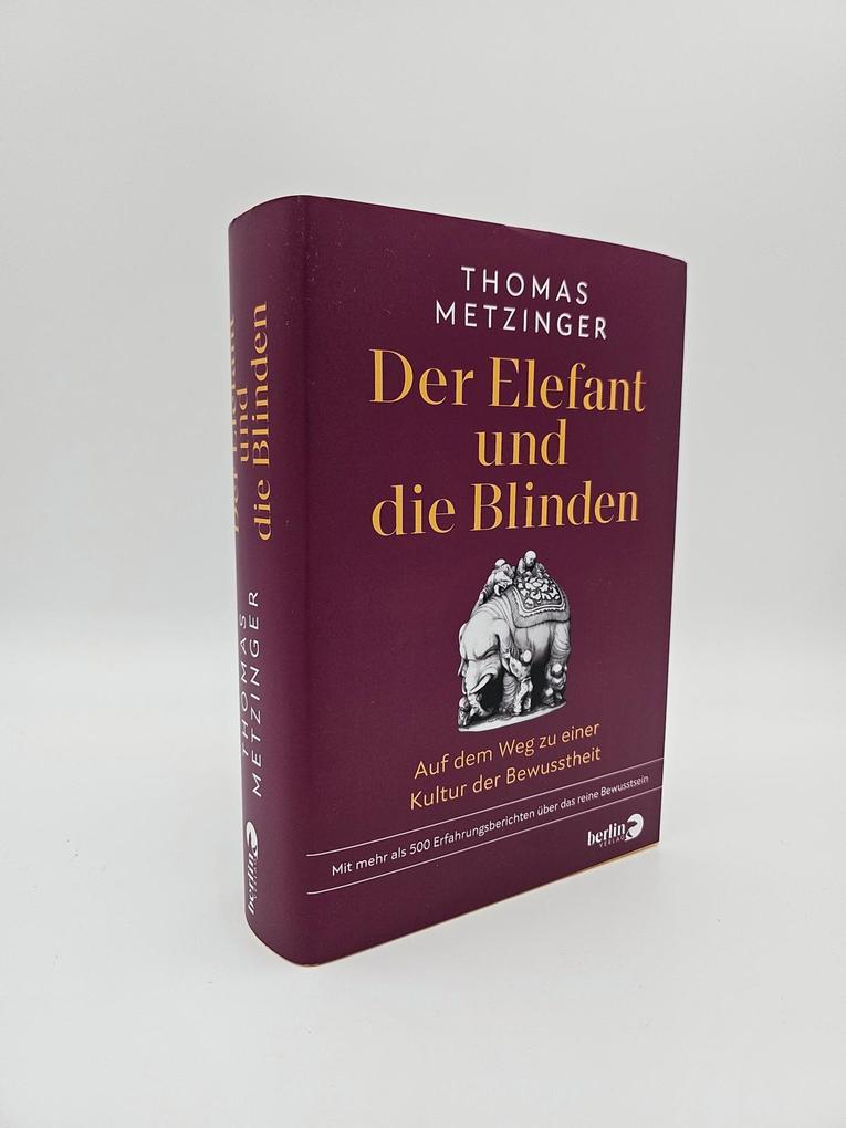 Weitere Ansicht: Der Elefant und die Blinden | Thomas Metzinger