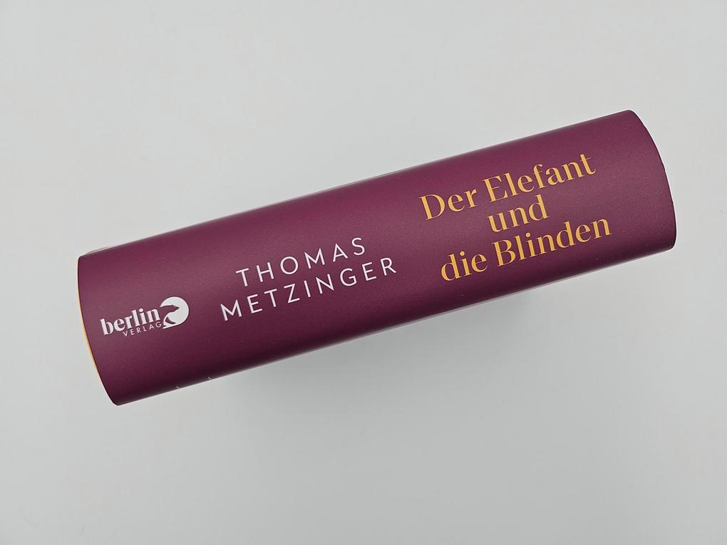 Weitere Ansicht: Der Elefant und die Blinden | Thomas Metzinger