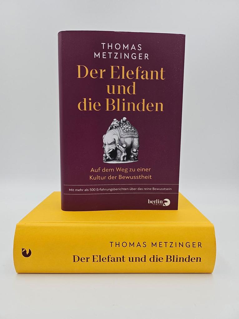 Weitere Ansicht: Der Elefant und die Blinden | Thomas Metzinger
