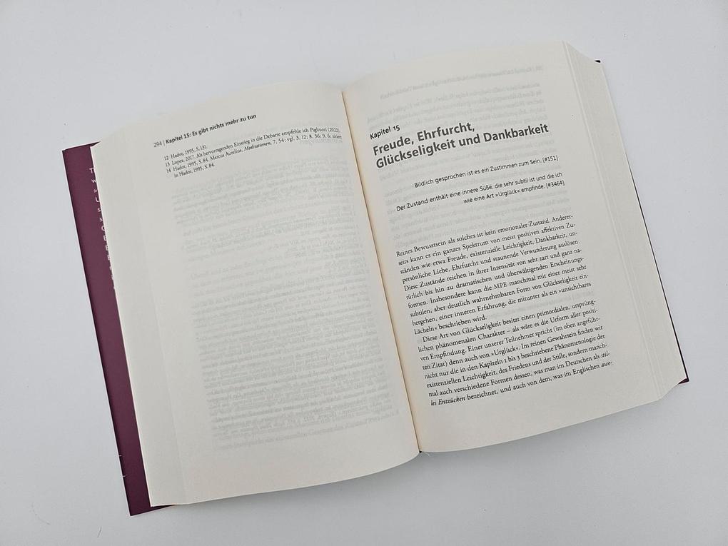 Weitere Ansicht: Der Elefant und die Blinden | Thomas Metzinger