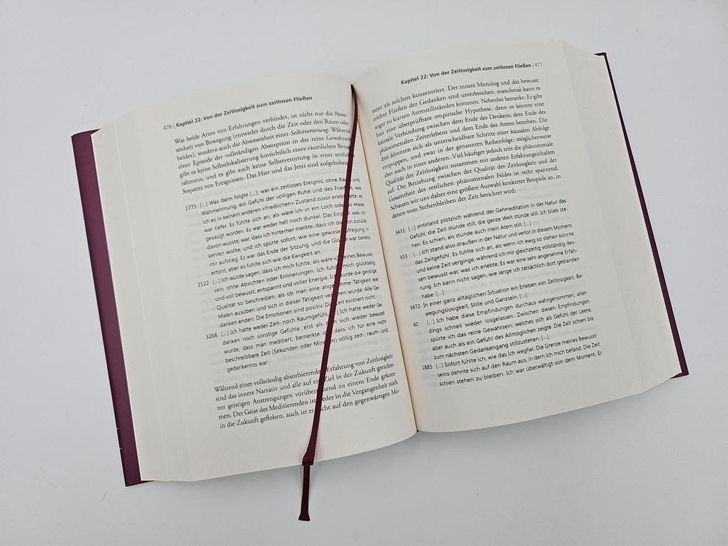Weitere Ansicht: Der Elefant und die Blinden | Thomas Metzinger