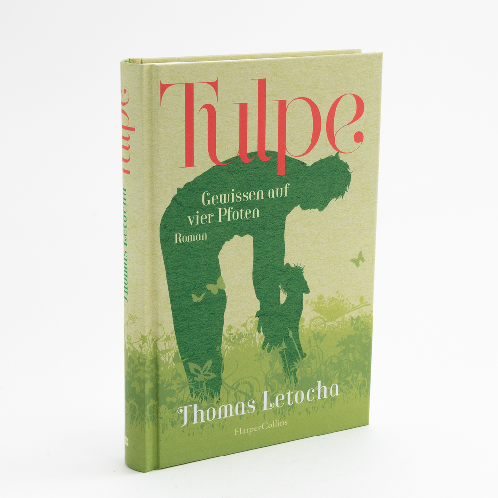 Weitere Ansicht: Tulpe | Thomas Letocha