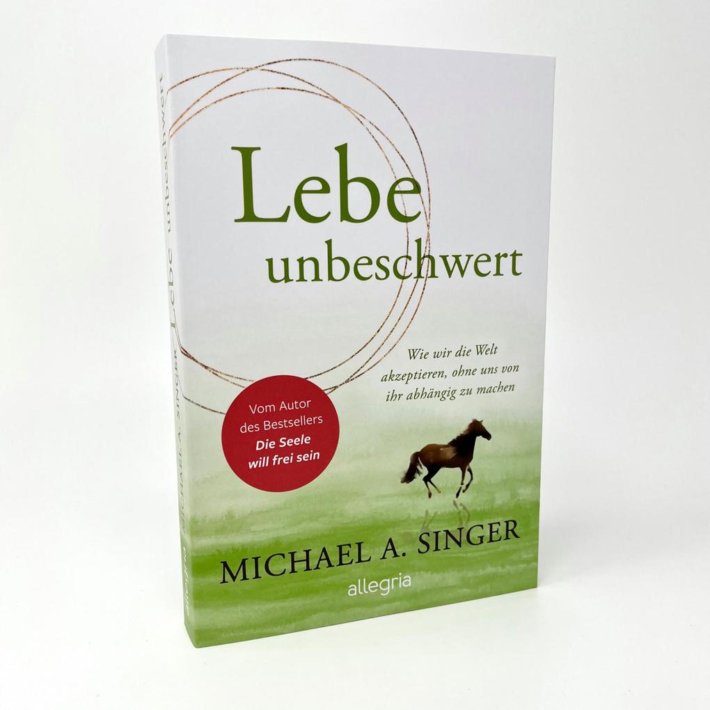 Weitere Ansicht: Lebe unbeschwert | Michael A. Singer