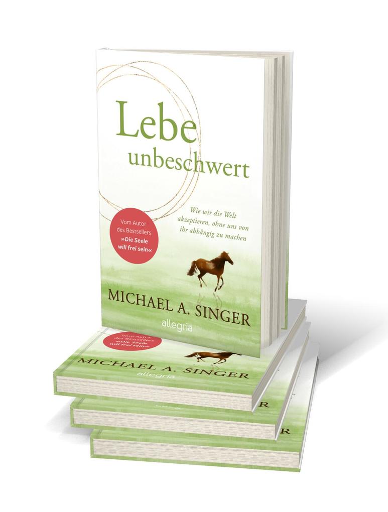 Weitere Ansicht: Lebe unbeschwert | Michael A. Singer