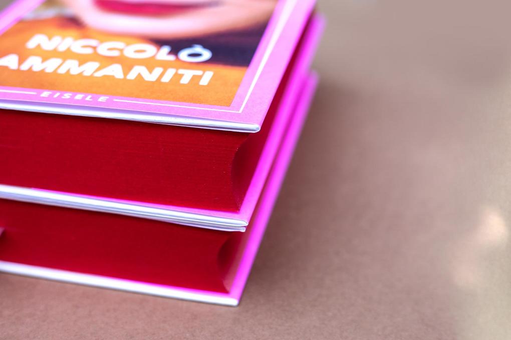 Weitere Ansicht: Intimleben | Niccolò Ammaniti