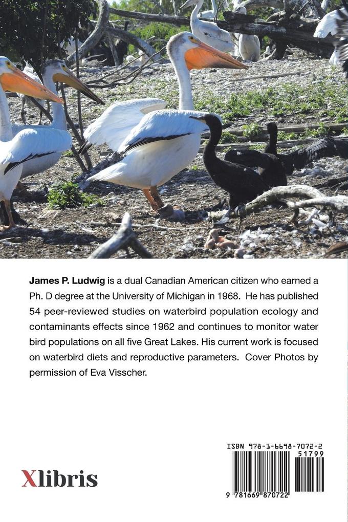 Weitere Ansicht: A Century of Observing Great Lakes Waterbirds | James P. Ludwig Ph. D