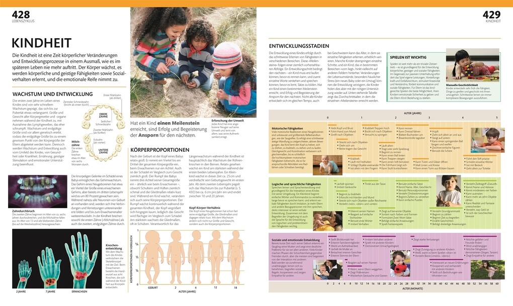 Weitere Ansicht: Anatomie und Physiologie
