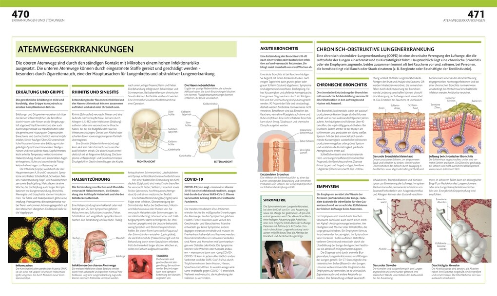 Weitere Ansicht: Anatomie und Physiologie