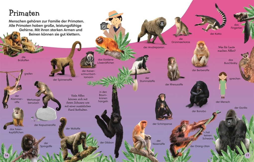 Weitere Ansicht: 1000 erste Wörter. Tiere | Jules Pottle