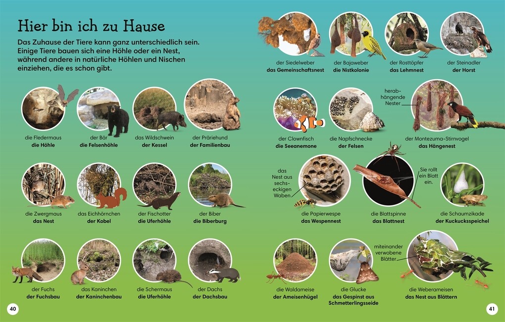 Weitere Ansicht: 1000 erste Wörter. Tiere | Jules Pottle