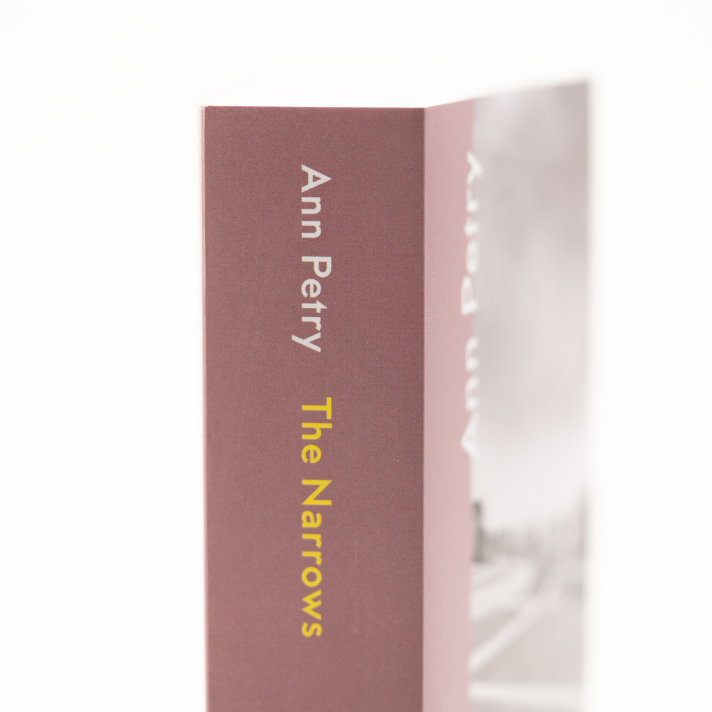 Weitere Ansicht: The Narrows | Ann Petry