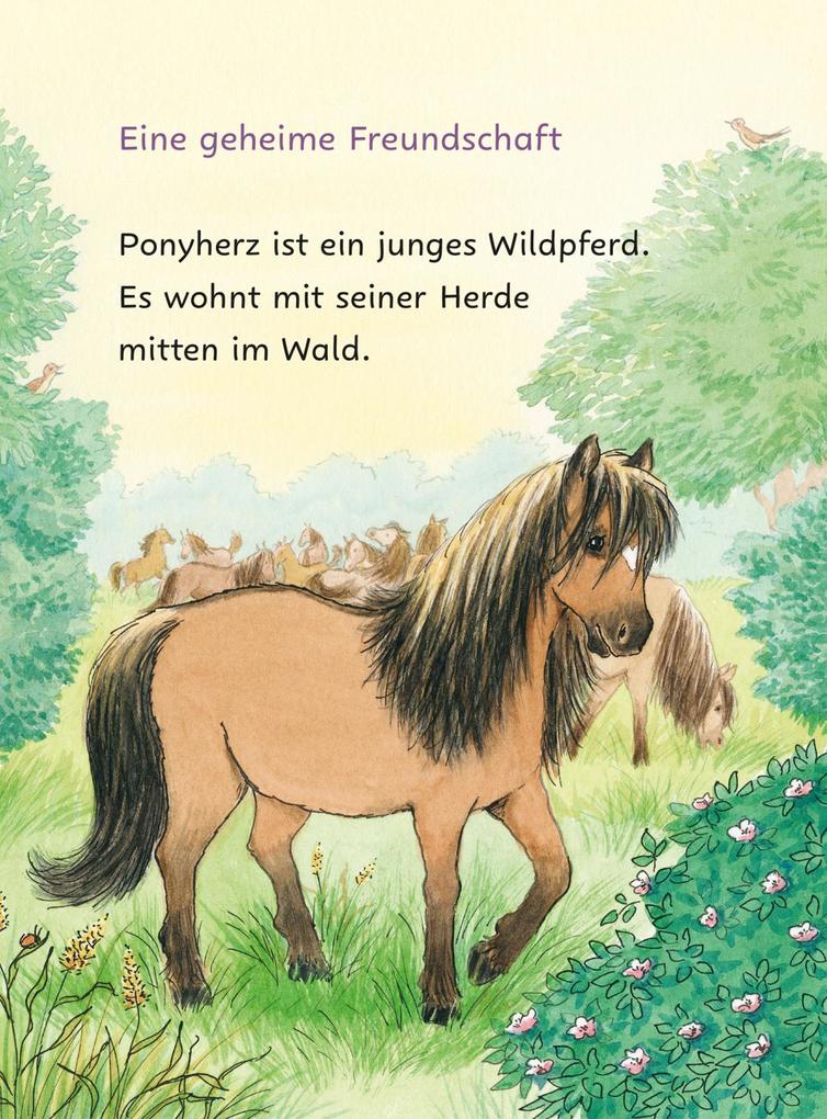 Weitere Ansicht: Ponyherz und Herr Franz: Die geklaute Wurst | Usch Luhn