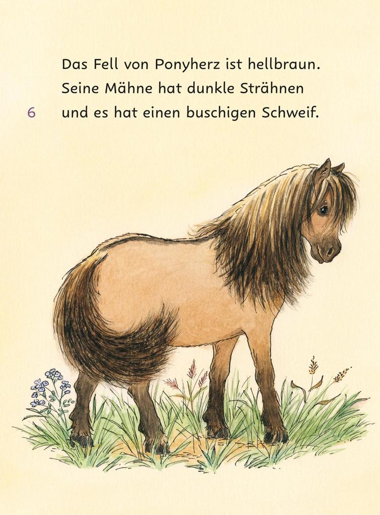Weitere Ansicht: Ponyherz und Herr Franz: Die geklaute Wurst | Usch Luhn