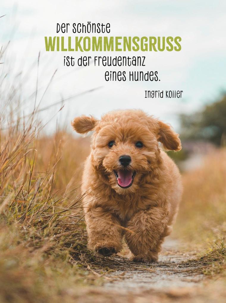 Weitere Ansicht: Hunde sind die besten Freunde