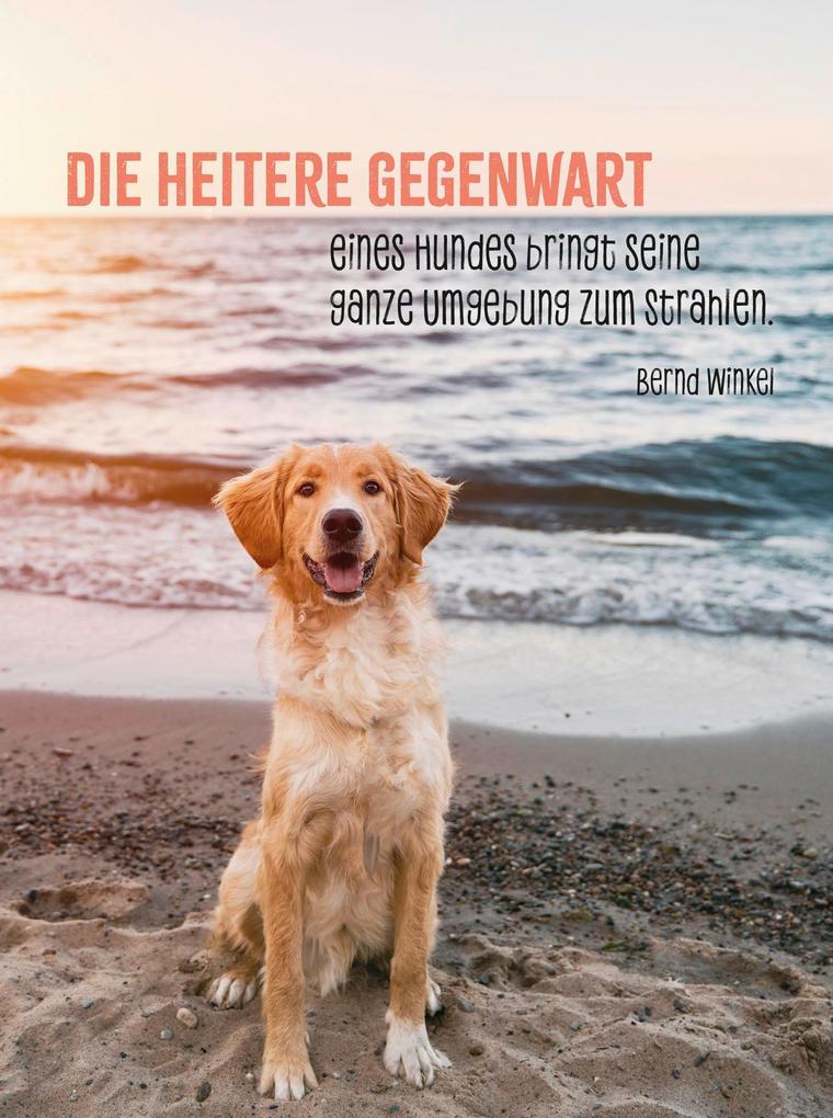 Weitere Ansicht: Hunde sind die besten Freunde