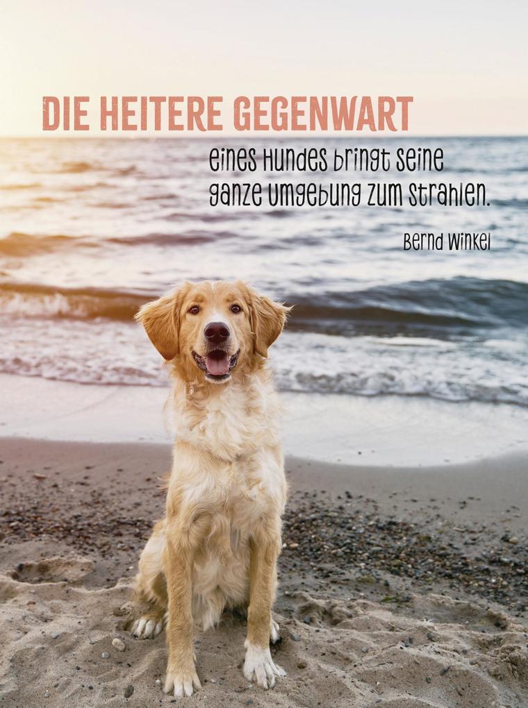 Weitere Ansicht: Hunde sind die besten Freunde
