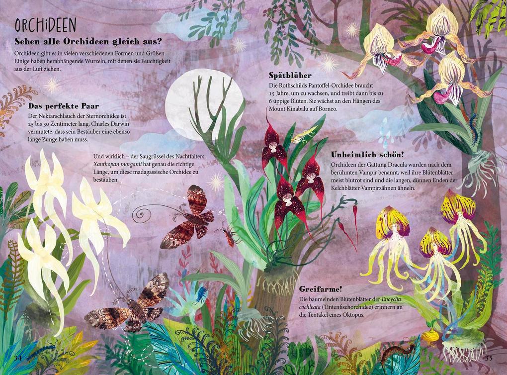 Weitere Ansicht: Der große Blütenzauber | Yuval Zommer