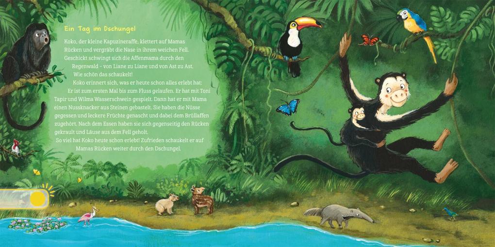 Weitere Ansicht: Hör mal (Soundbuch): Erste Geschichten: Kleine Tiere | Maria Höck